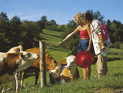 Urlaub im Bayerischen Wald im September